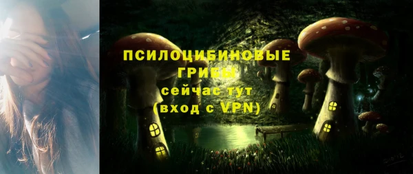 эйфоретик Алексин