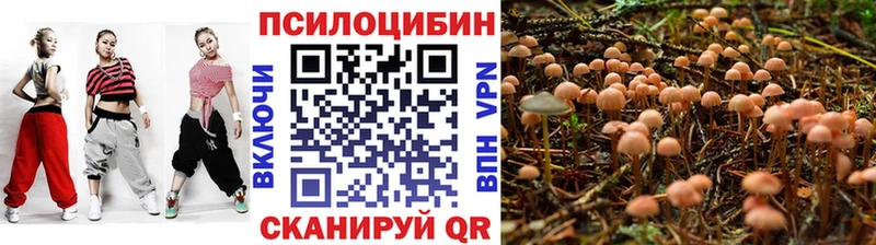 Купить закладки  Ялуторовск  Псилоцибиновые грибы ЛСД 